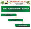 paso 5