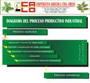 Paso 7